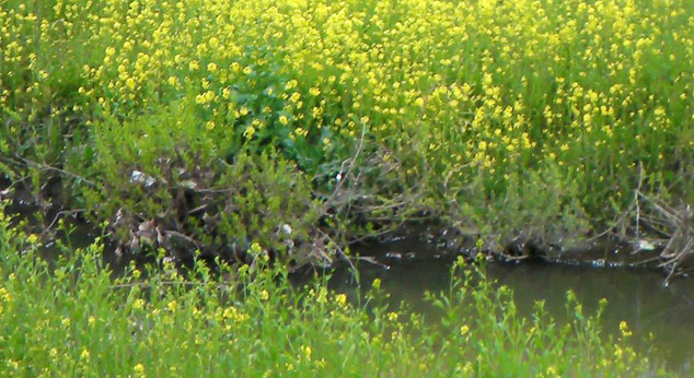 Everything is One, Even a Small Thing as well… 