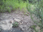 ph_photo_t027_2.jpg