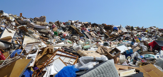 Photo in iwaki　４月７日〜４月１３日